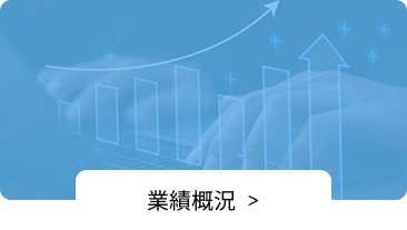 業績概況
